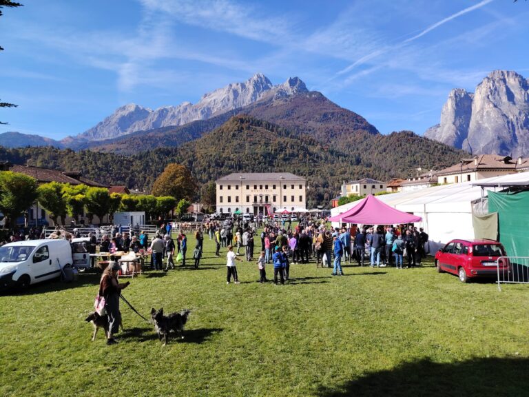 218d6b84-d576-4503-8215-f7a221f8aed6