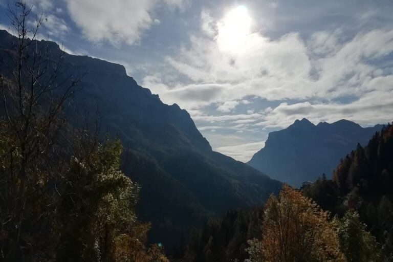 2bfcb327-7cd0-4af7-86f3-617bf41e043e