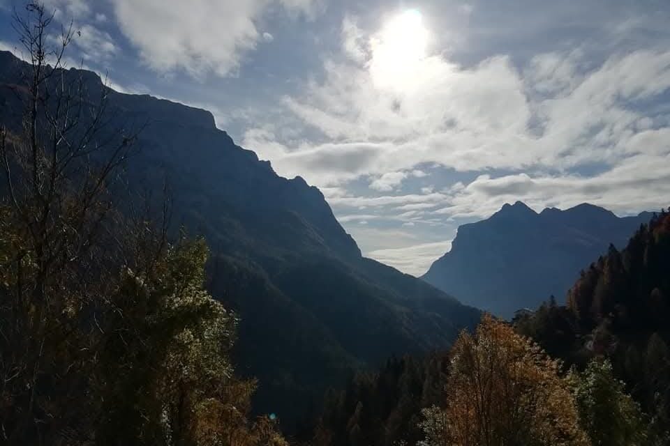 2bfcb327-7cd0-4af7-86f3-617bf41e043e