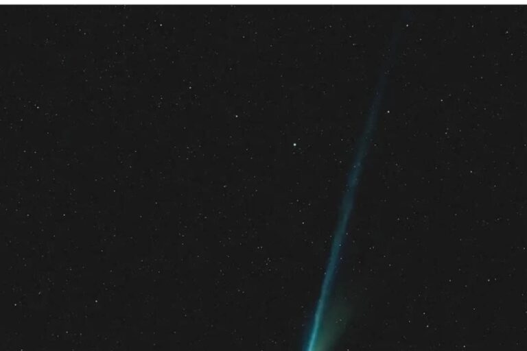 2decad00-fc69-41c4-a3f0-20d8dc833a19