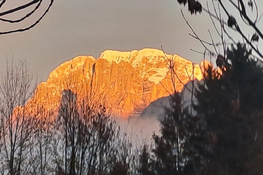 38203065-fa72-4fa0-8ce8-40d1ade33af4