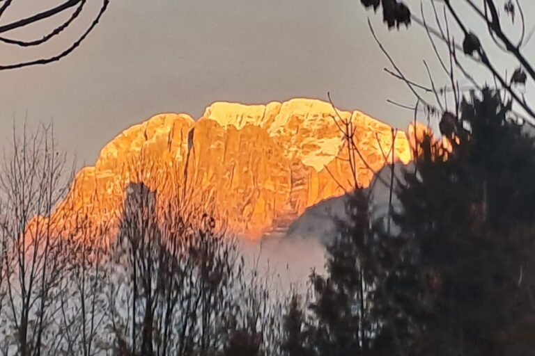 38203065-fa72-4fa0-8ce8-40d1ade33af4