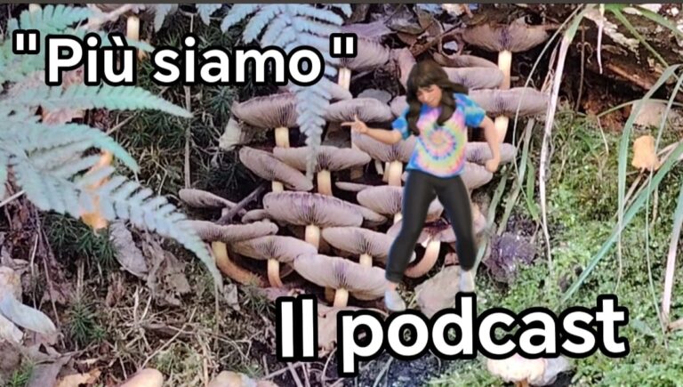 3d836e8a-fda2-4124-bfb2-07196a720377