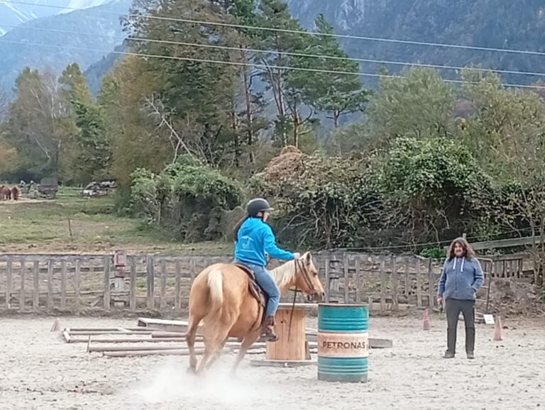 6afdd6d2-b7f7-472c-95d5-9e6d81ccac47-1