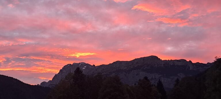 74064cd6-c736-45f7-ad18-4d22c805f415