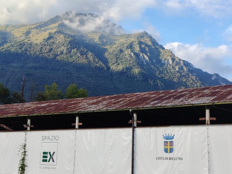 9f67f393-afcd-44a0-a981-35ecf022c989