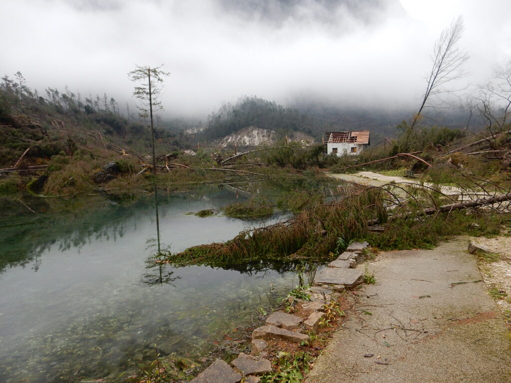VAIA, SETTE ANNI DOPO. NEGLI SCATTI DI PAOLO DECIMA - FOTO E VIDEO