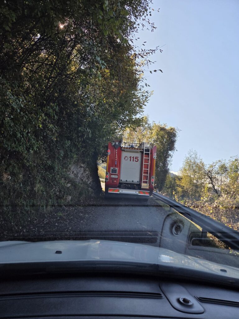 Immagine WhatsApp 2025-10-05 ore 16.57.05_dd83e730