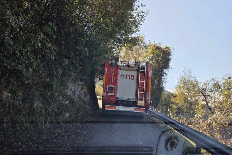 Immagine WhatsApp 2025-10-05 ore 16.57.05_dd83e730
