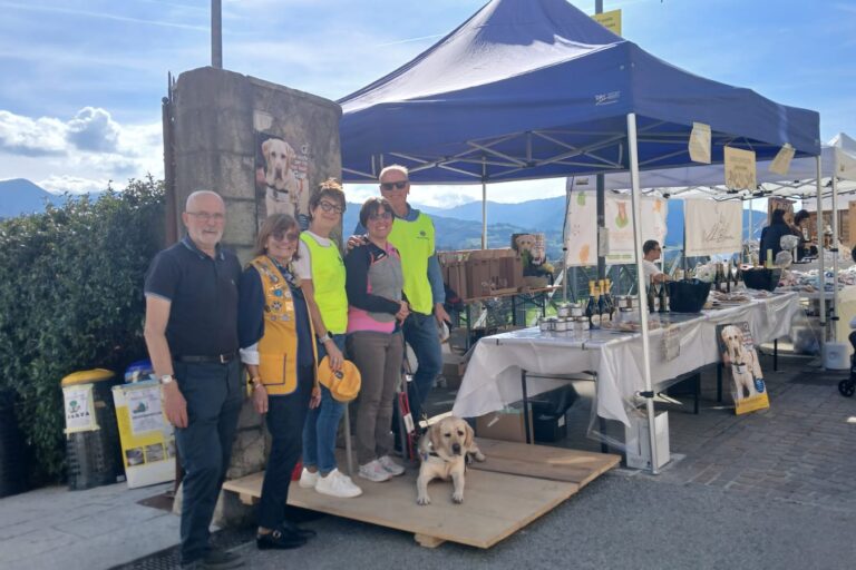 Lions service cane guida-2025-B