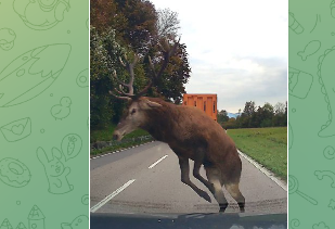 Screenshot 2025-10-14 125850