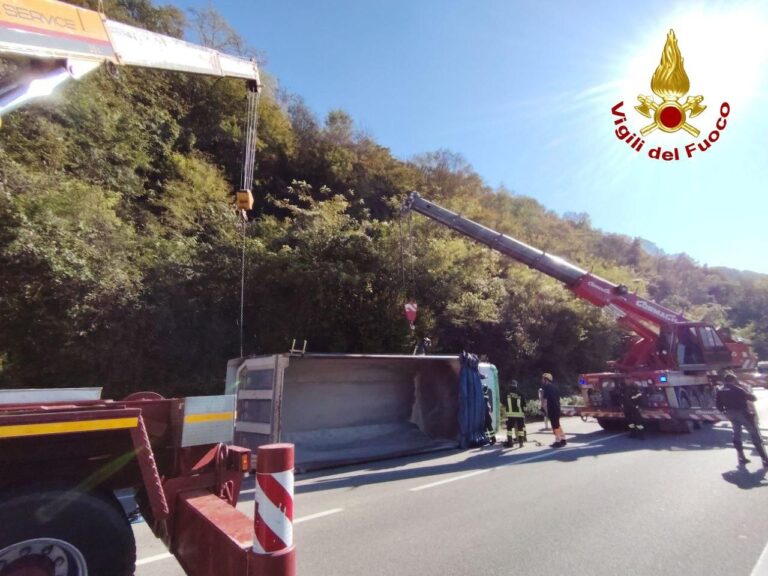 e2ba9533-deac-4859-ab36-0f3f04564d30