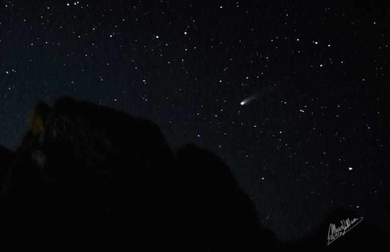 fc17ddb6-6fac-40d8-b95e-005c2ea68f6d