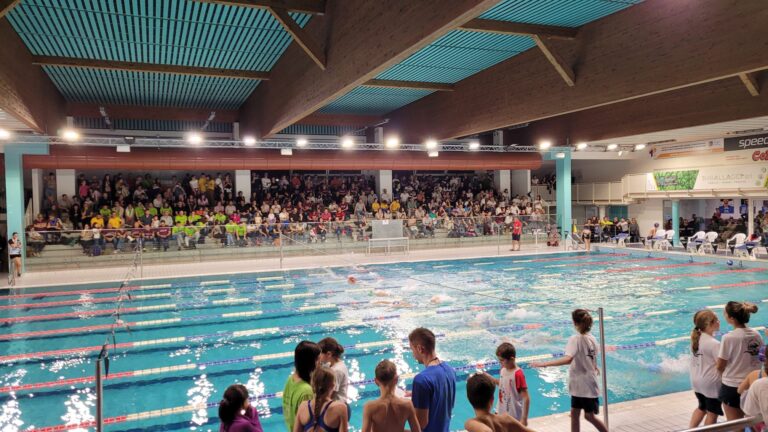 003b3b94-1b42-49de-b97a-b80d7fdcd2d5