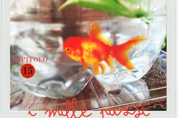 015 La bellezza della storia dei pesci rossi nelle fontane