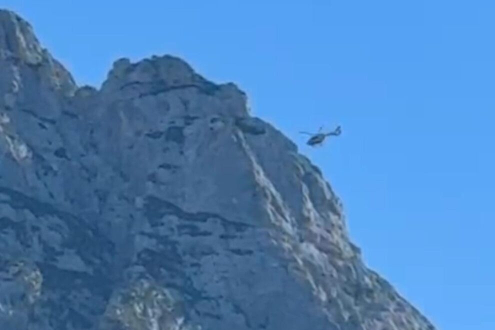 34462c57-e44d-4695-a7b3-2364967f1804