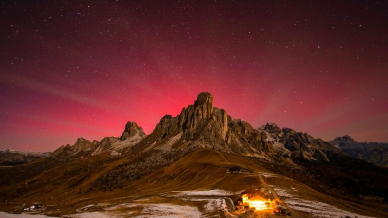 4891dee1-9102-4ace-9f17-08942ca8df61