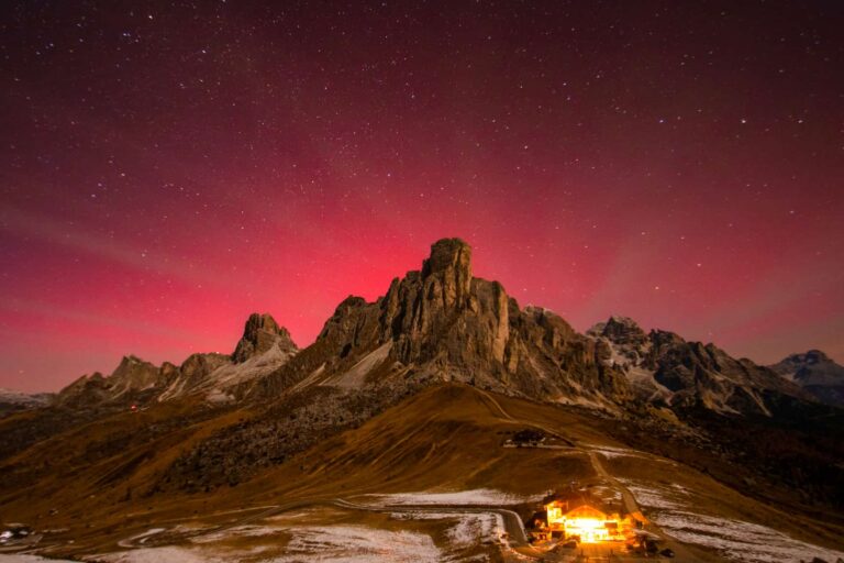 4891dee1-9102-4ace-9f17-08942ca8df61