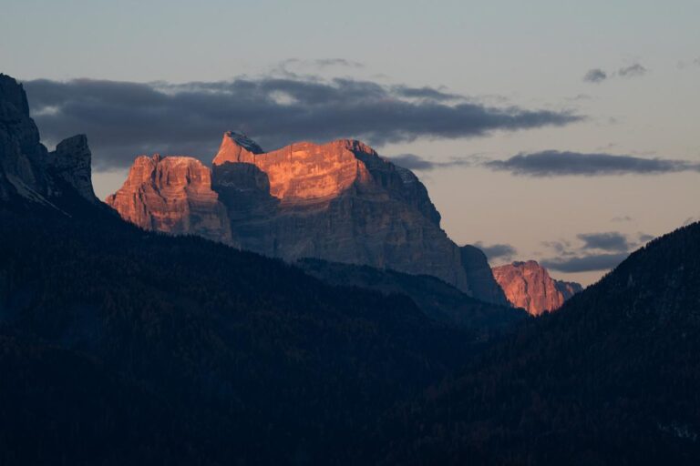 4f01298a-d746-4a9a-ae6e-3b1f9f80cc92