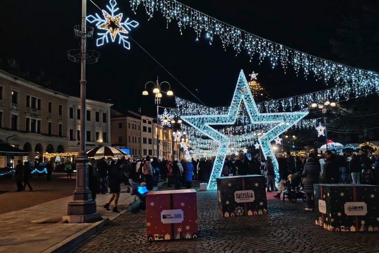 54d9355e-a3ea-4305-823a-988024385646