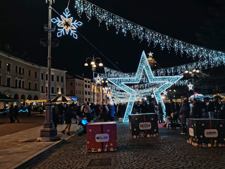 54d9355e-a3ea-4305-823a-988024385646