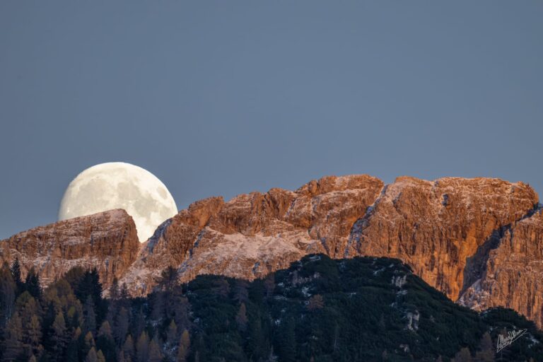 60ea054f-7240-42ce-b955-146c22d1c83a