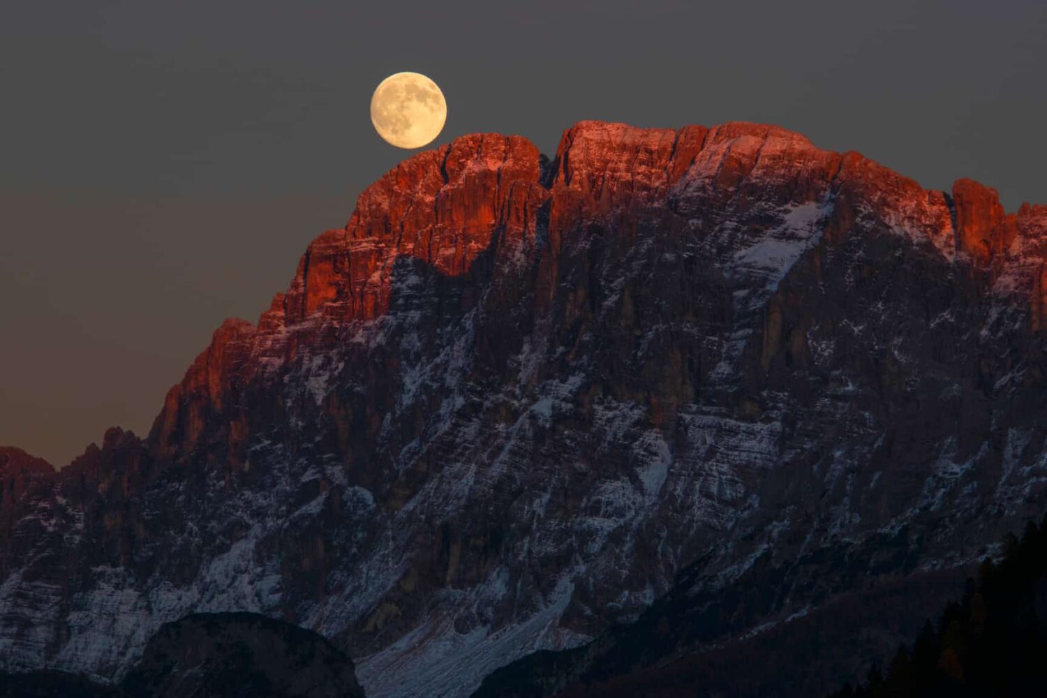 749706c1-def8-4640-9a61-af958da19bd9