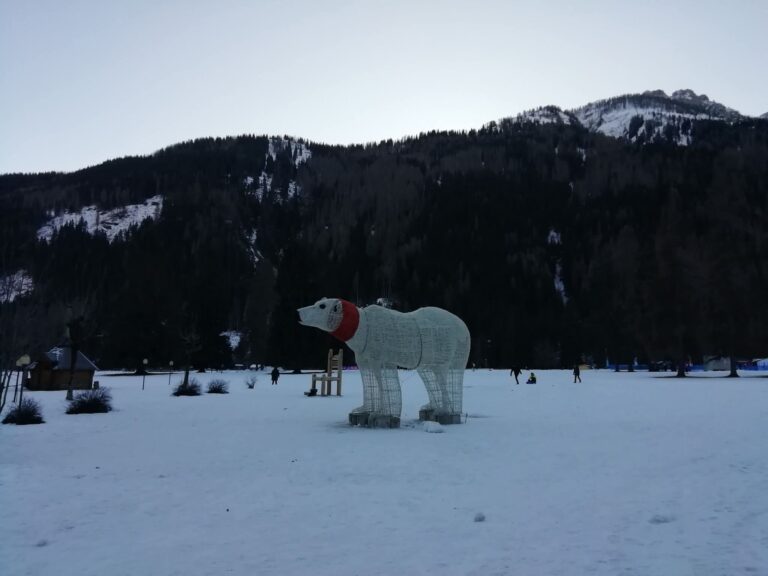 89f45cac-8687-4756-ac1f-0376e04e364e