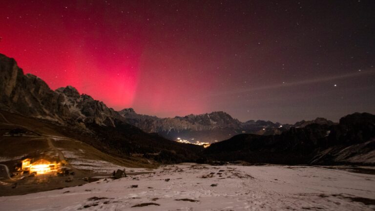 96f22bb9-47eb-45da-aabc-377cca9e72e5