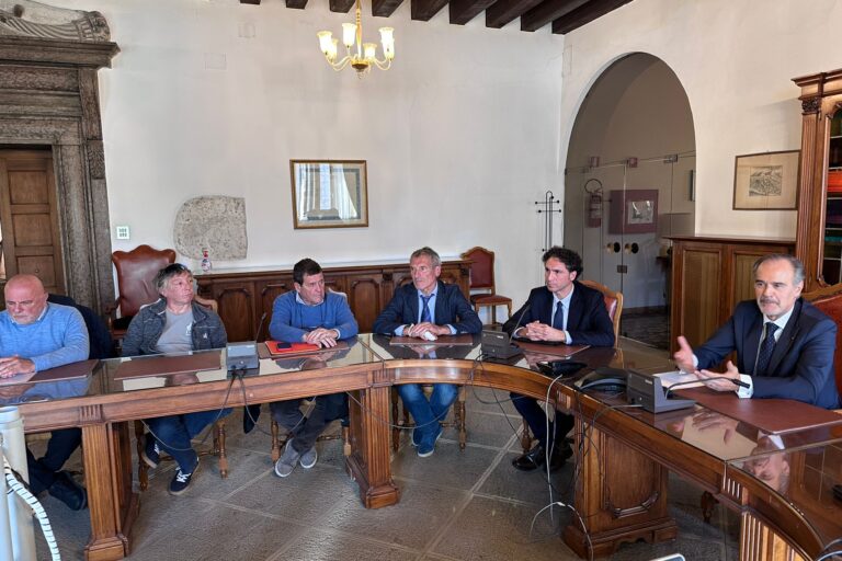 9ebf3733-7437-4f41-8f74-bbdf78871a90