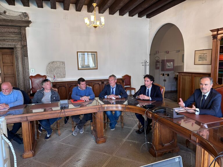 9ebf3733-7437-4f41-8f74-bbdf78871a90