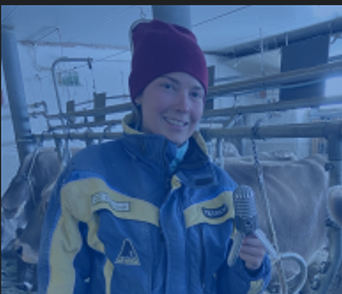 Screenshot 2025-11-14 072525