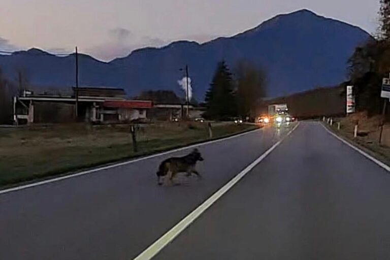 a1bd7bfa-f77e-4cc1-a51b-9905bf4d63ba