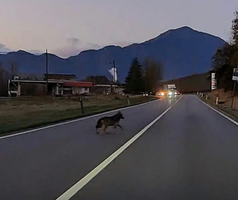 a1bd7bfa-f77e-4cc1-a51b-9905bf4d63ba