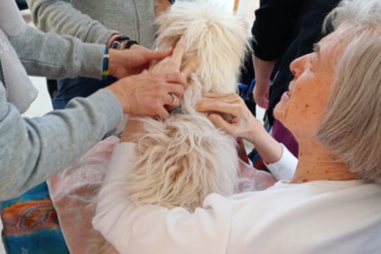 a26a2f7c-c293-4e64-b5ec-97b297712592