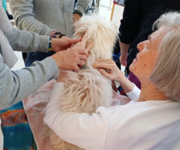 a26a2f7c-c293-4e64-b5ec-97b297712592