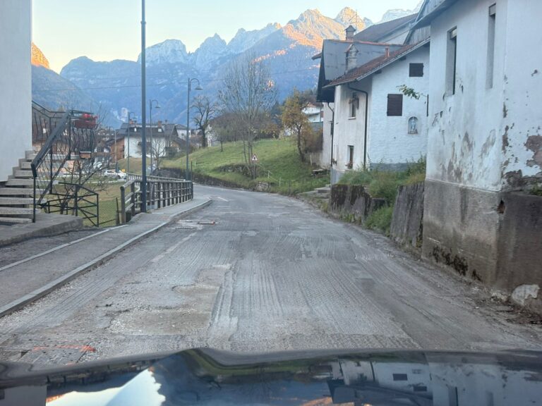 d15ac71d-6045-4435-b9b9-13711410733b