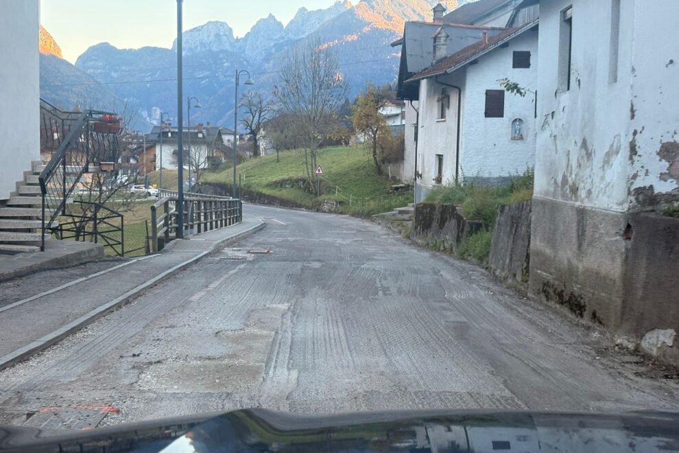 d15ac71d-6045-4435-b9b9-13711410733b