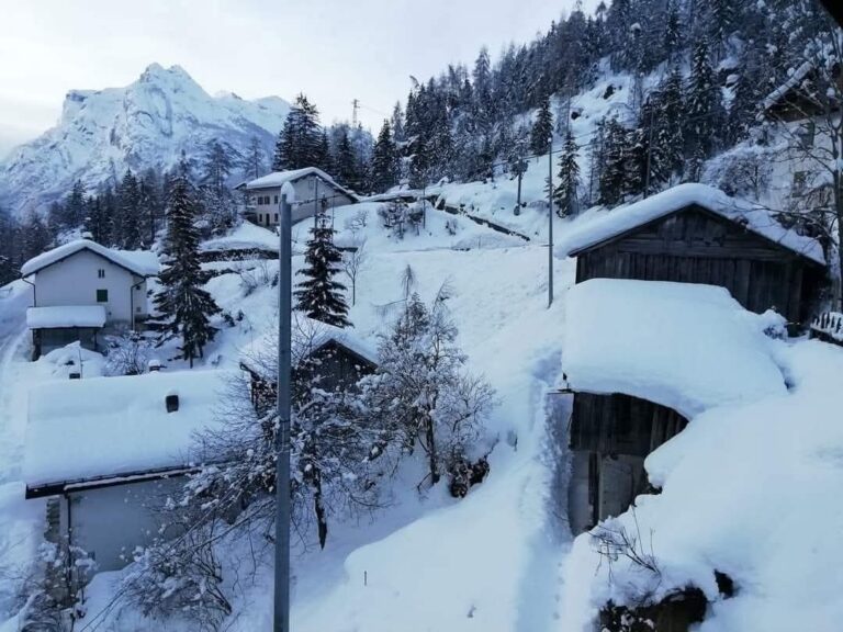 f6d57fff-82c2-470b-acc4-aaf536e4c52d