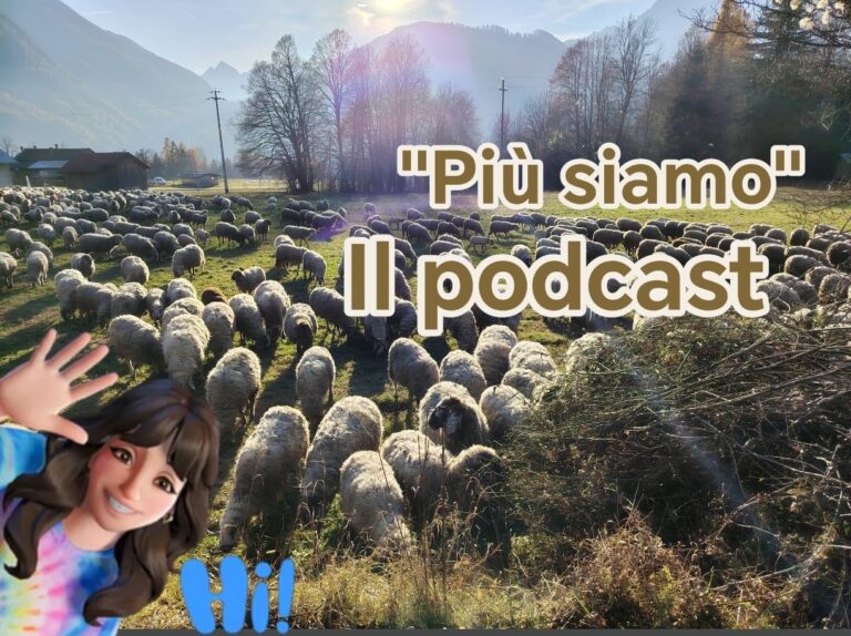 fab28daf-a28e-4329-94fb-6c7ce16e199d