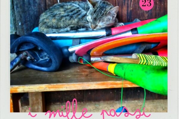 023 Ho sempre sognato di scappare con il circo