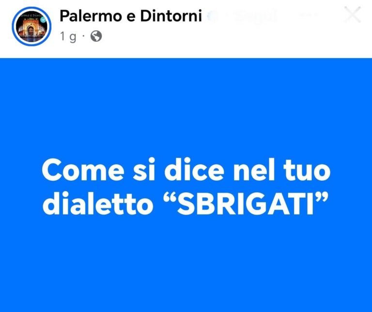 0bc2d0b6-3f08-4fda-9962-7c0d2ec422cc