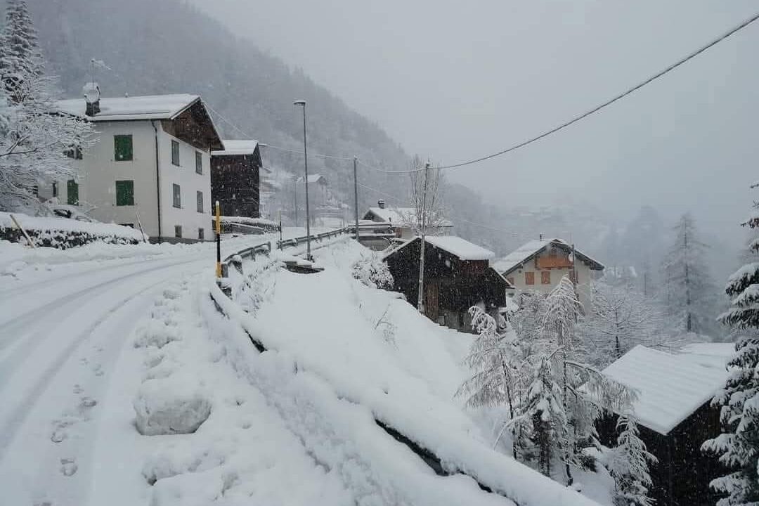 10fcc601-0002-4b93-b8d0-c1888ecb3a12