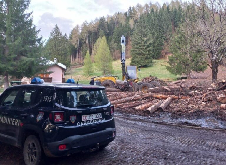 carabinieri forestali