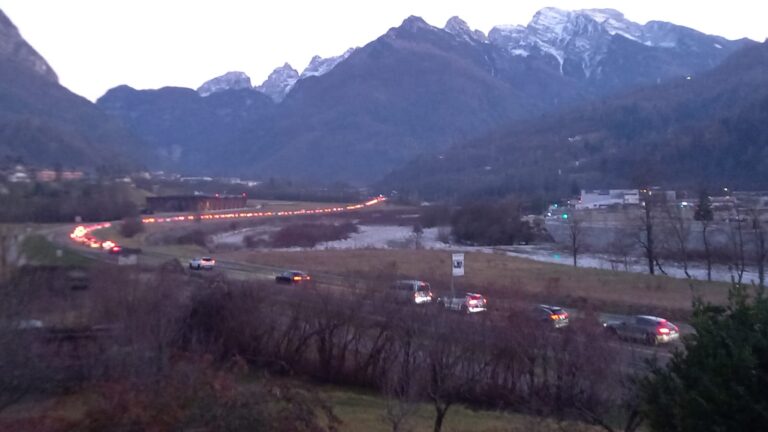 65697e3b-a8e1-482d-83ea-e0d9ef6b6d61