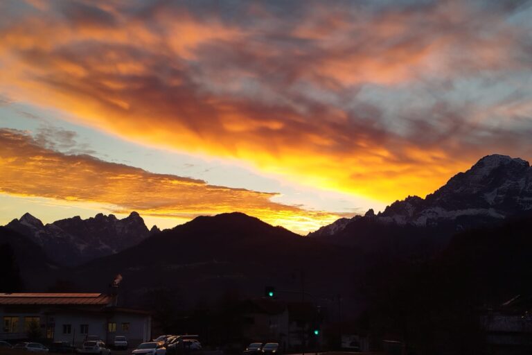 6ea71f04-816d-4ed7-b1ff-a3eac9bb407e