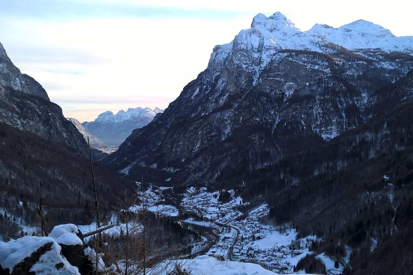 87dcffa5-897f-4c50-b049-7dc5e8767041