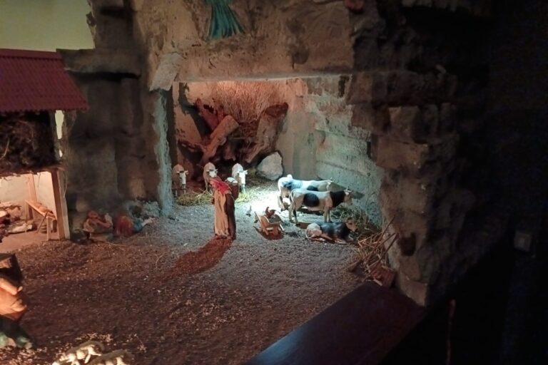 8ed705b4-4e47-431f-8563-0126b2f4ca11