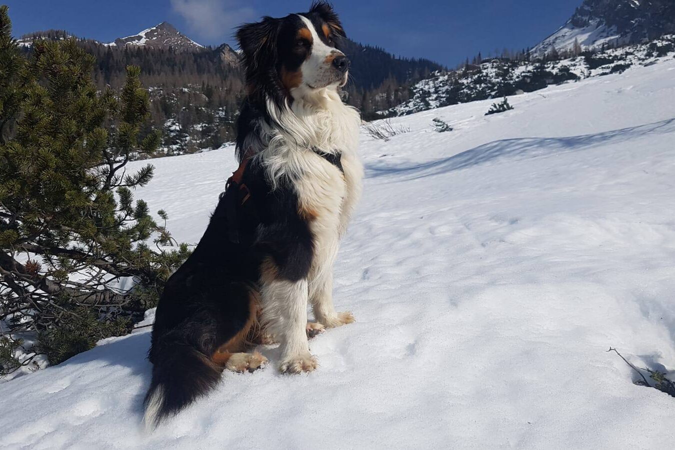 618041786_1296564272497662_8803809765647729402_n