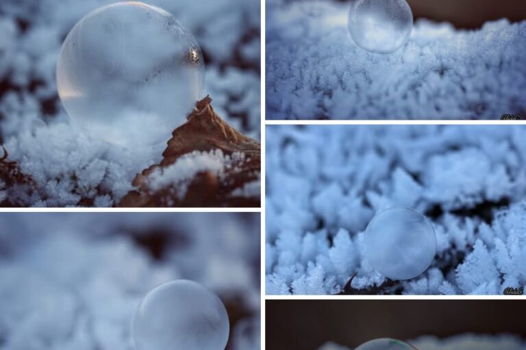 8341a871-8018-469e-9e2c-796798574000